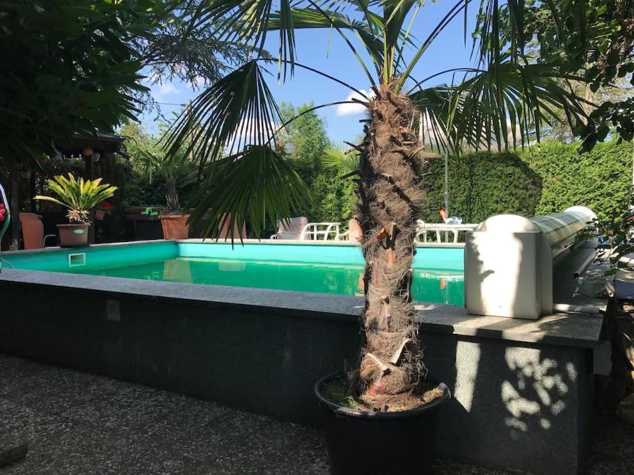 Studio-Apartment Wohlfühloase 3